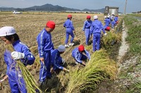 ９月８日　稲刈り５年.jpg